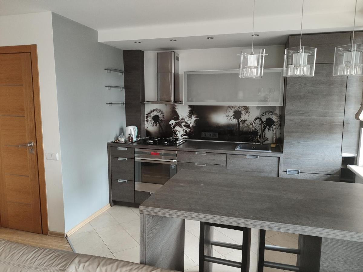 Nikoletos Apartamentai Panevėžys 외부 사진